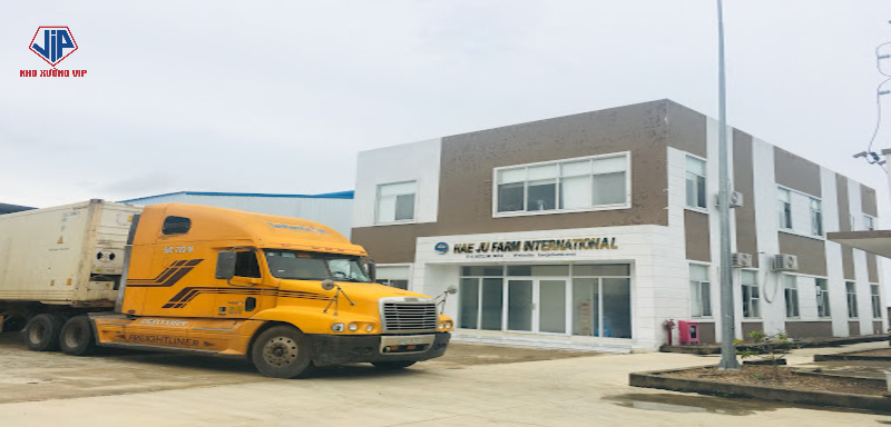 HAEJU FARM tập trung vào sản xuất nông sản an toàn, đáp ứng nhu cầu trong nước và xuất khẩu