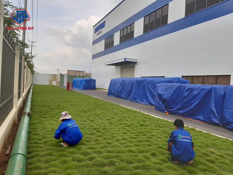 địa chỉ khu công nghiệp Sóng Thần